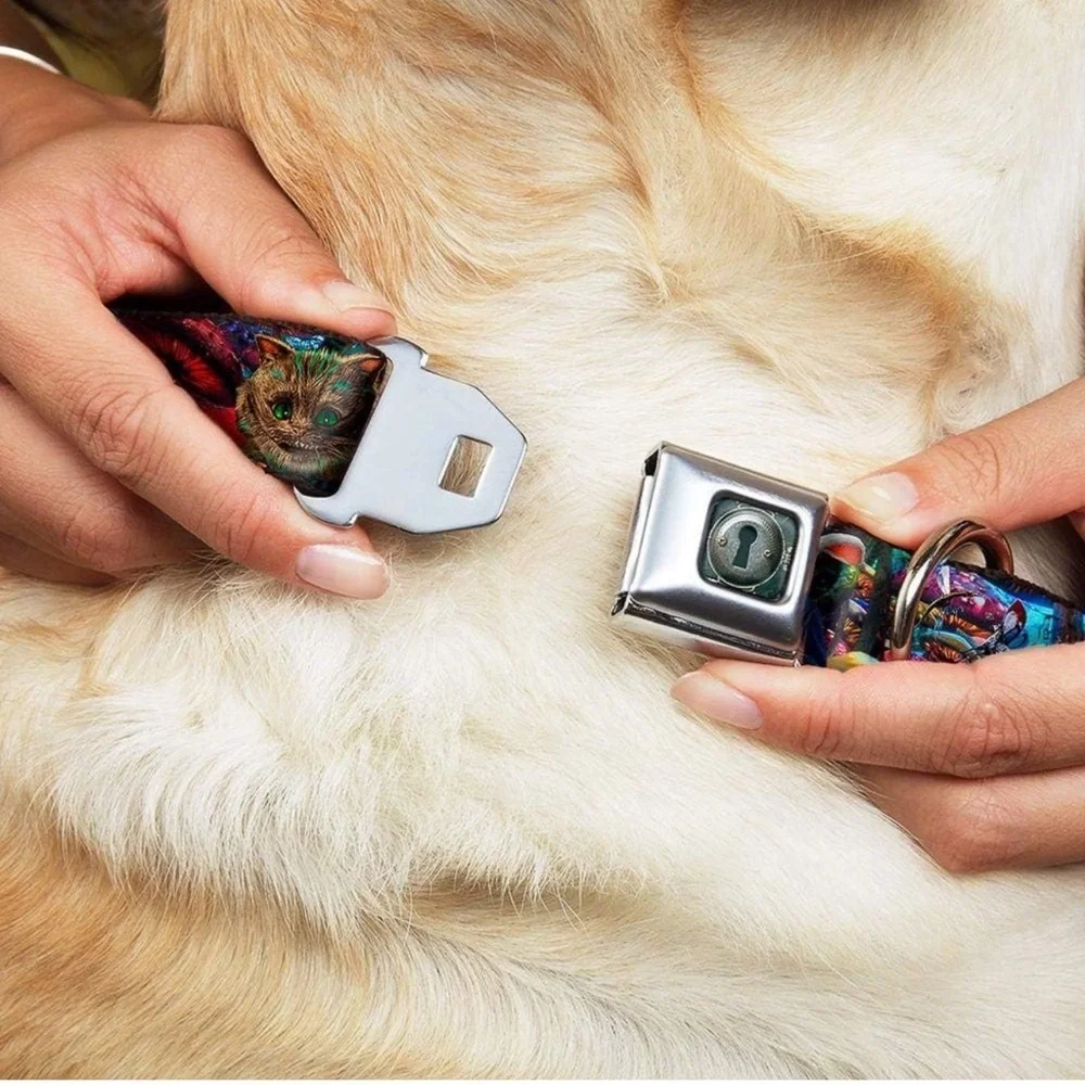 🍄‍🟫HOST PICK x 2🍄‍🟫Buckle-Down Seatbelt Buckle Dog Collar Alice in Wonderland